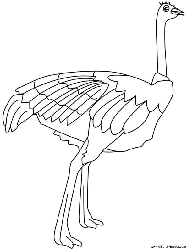 dibujo-de-avestruz-003.gif