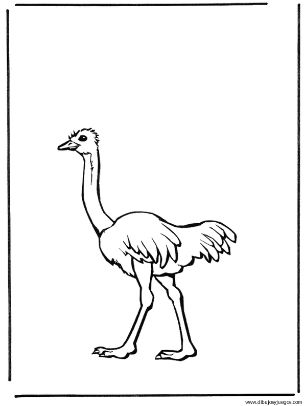 dibujo-de-avestruz-006.gif