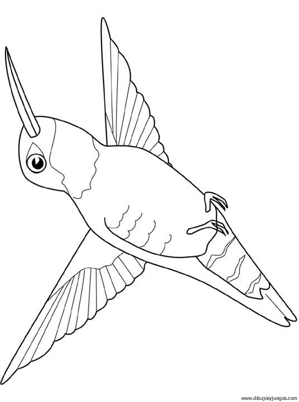 dibujo-de-colibri-003.gif