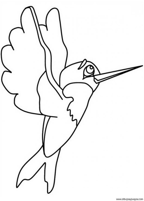 dibujo-de-colibri-004.gif