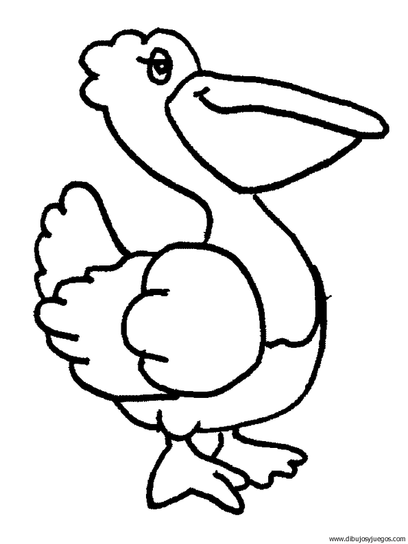 dibujo-de-pelicano-001.gif
