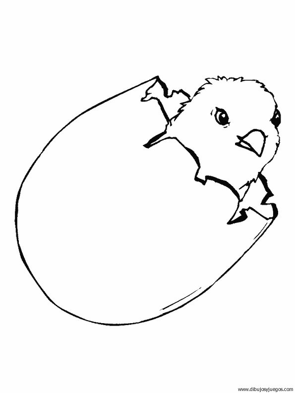 dibujo-de-pollito-013.gif