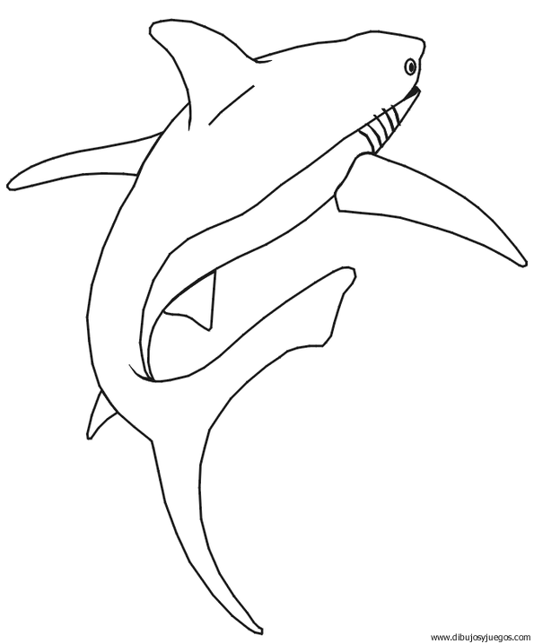 dibujo-de-tiburon-002.gif