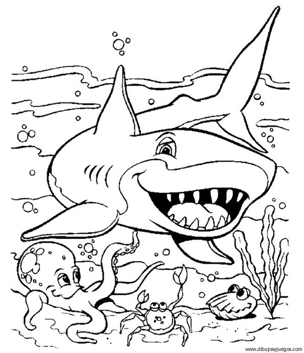 dibujo-de-tiburon-011.jpg