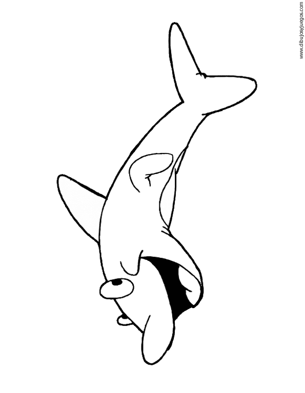 dibujo-de-tiburon-028.gif