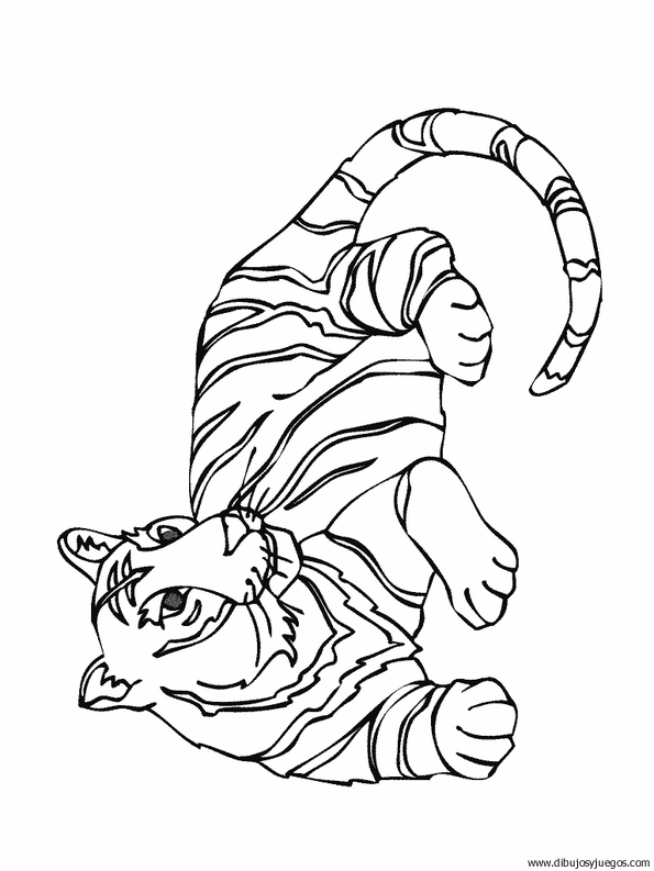 dibujo-de-tigre-023.gif