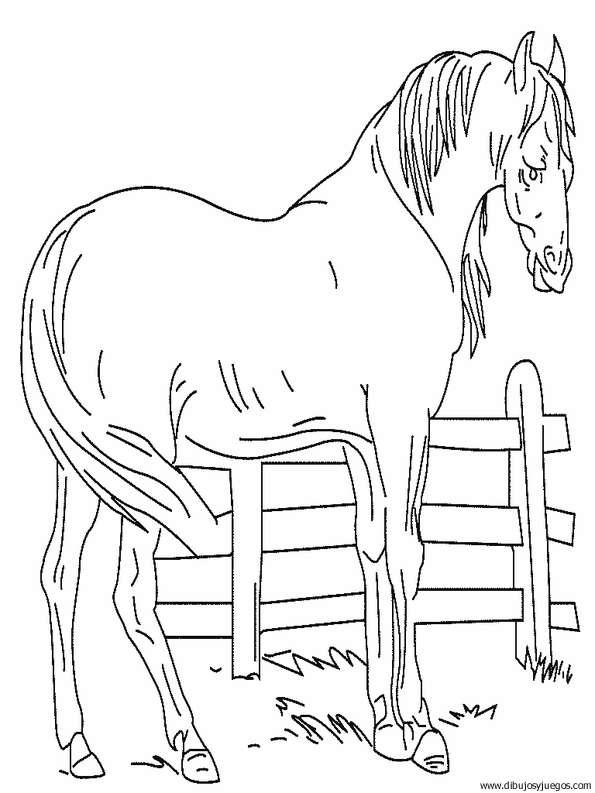 dibujo-de-caballo-035.gif