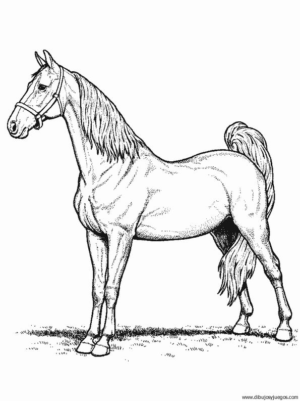 dibujo-de-caballo-137.jpg