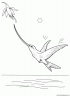 dibujo-de-colibri-005