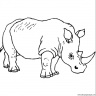 dibujo-de-rinoceronte-016