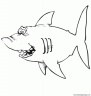 dibujo-de-tiburon-039