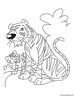 dibujo-de-tigre-029