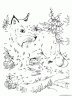 animales-dibujar-uniendo-puntos-numeros-102