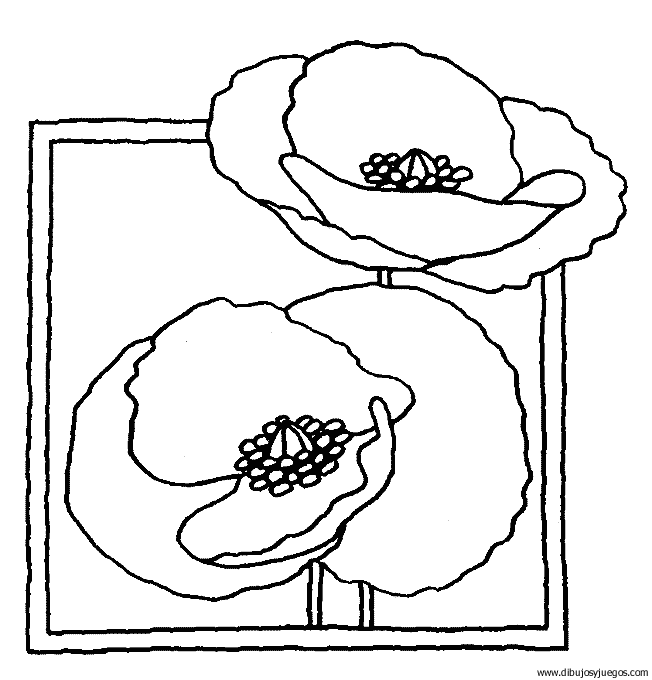 dibujo-flores-amapolas-009.gif