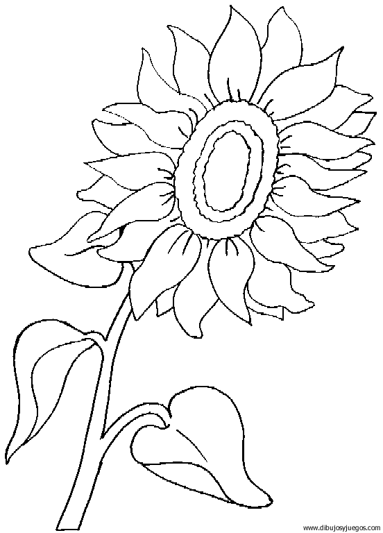dibujo-flores-girasoles-003.gif