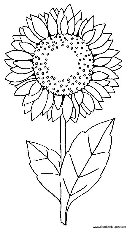 dibujo-flores-girasoles-004.gif