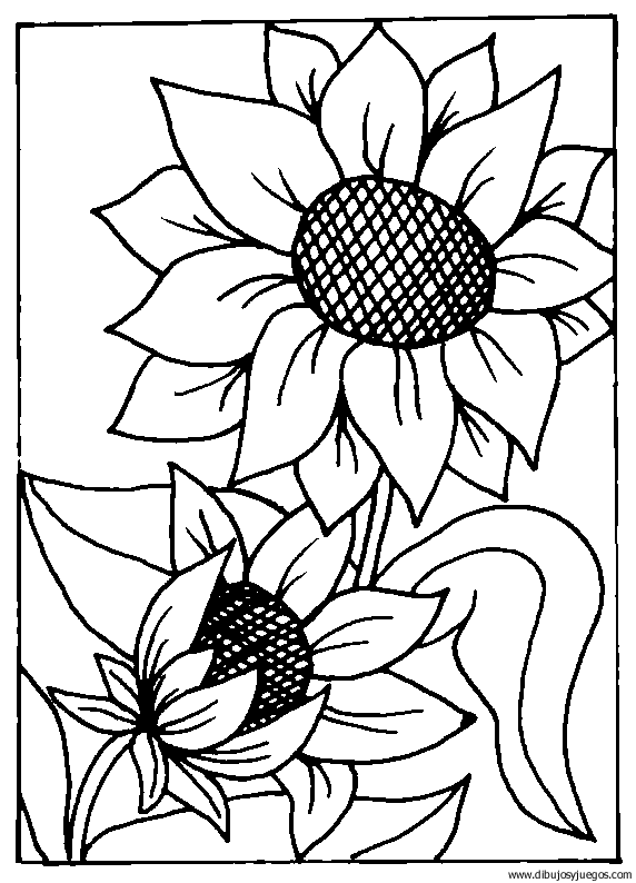 dibujo-flores-girasoles-010.gif