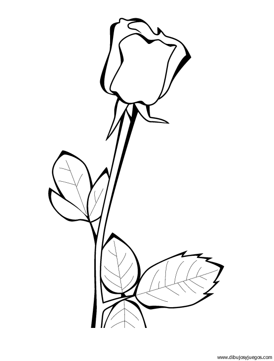 dibujo-flores-rosas-005.gif