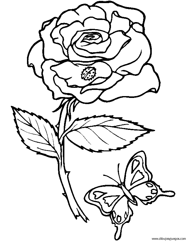 dibujo-flores-rosas-006.gif