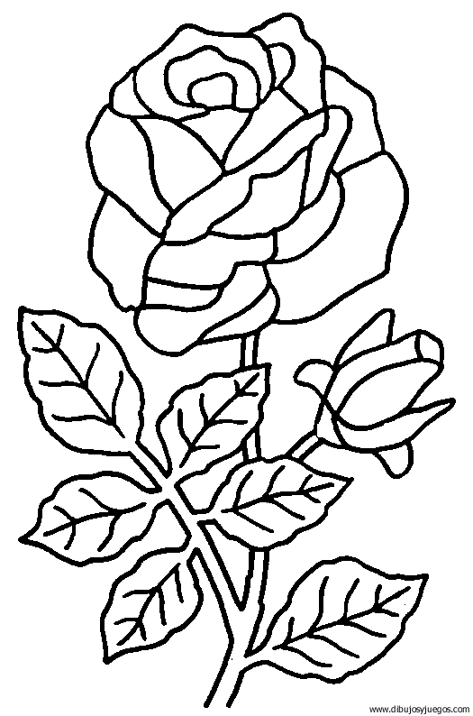 dibujo-flores-rosas-007.gif