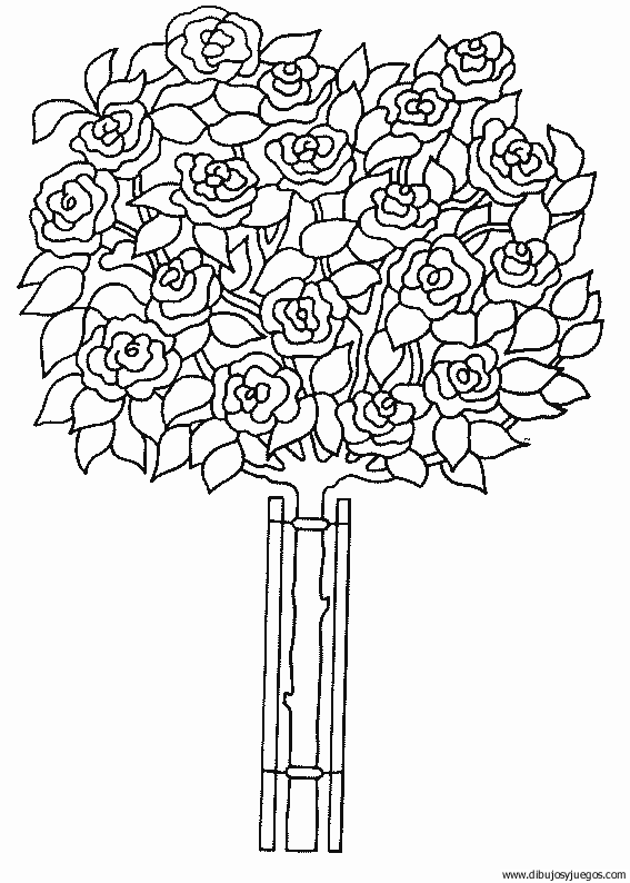 dibujo-flores-rosas-015.gif