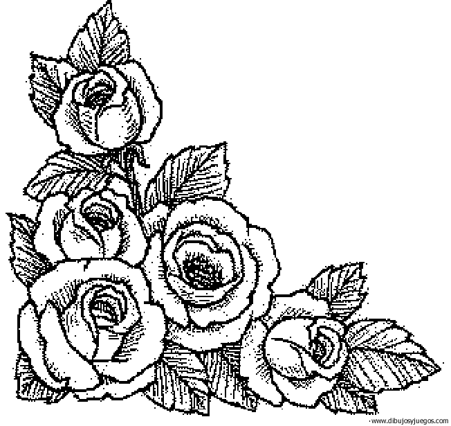 dibujo-flores-rosas-018.gif