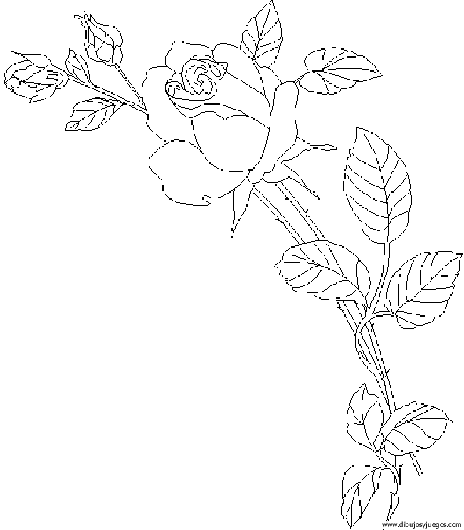 dibujo-flores-rosas-020.gif