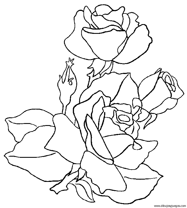 dibujo-flores-rosas-022.gif