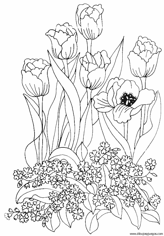 dibujo-flores-tulipanes-011.gif