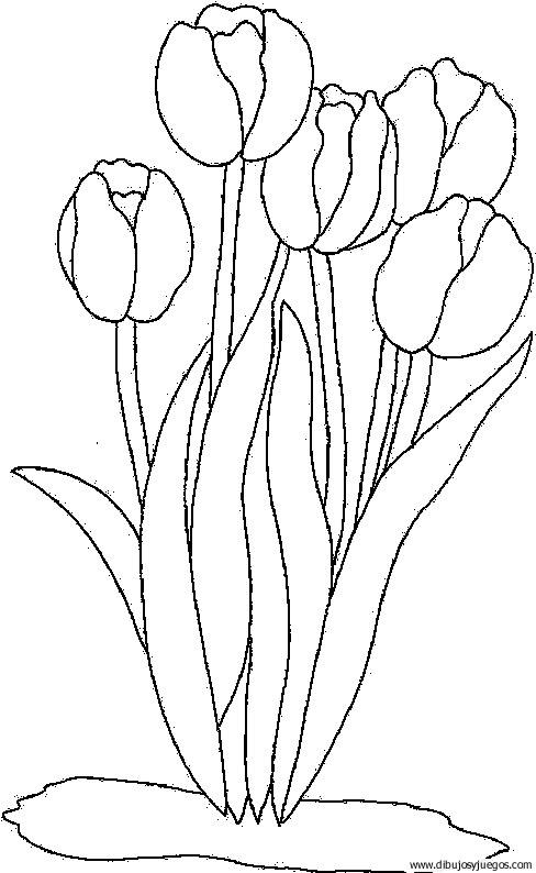dibujo-flores-tulipanes-013.gif