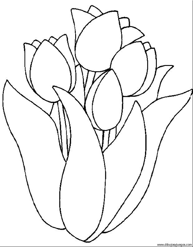 dibujo-flores-tulipanes-015.gif