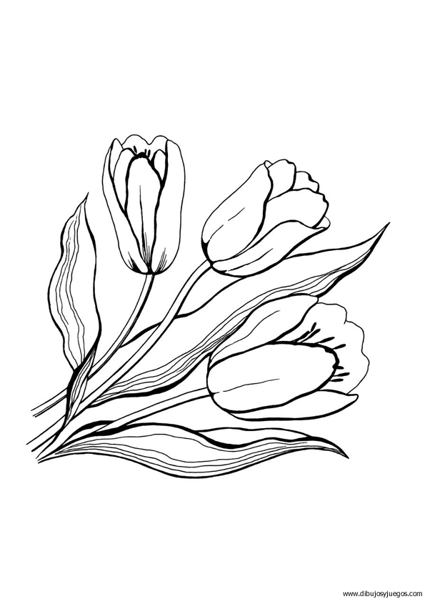 dibujo-flores-tulipanes-024.gif