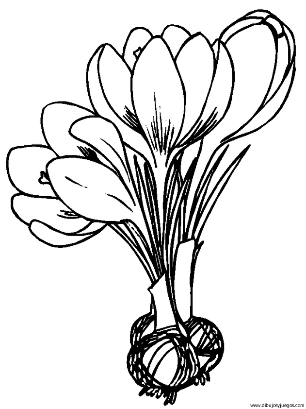 dibujo-flores-varios-022.gif