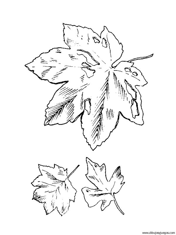 dibujo-arboles-hojas-004.gif
