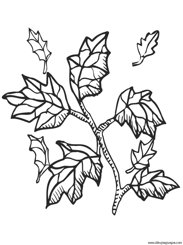 dibujo-arboles-hojas-005.gif