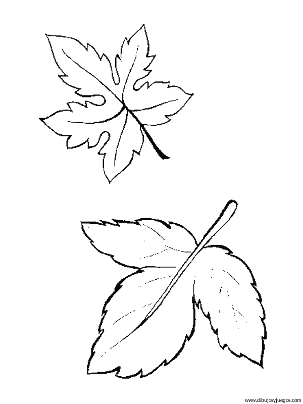 dibujo-arboles-hojas-007.gif
