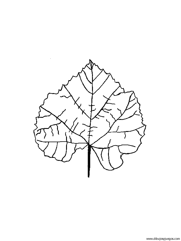 dibujo-arboles-hojas-009.gif