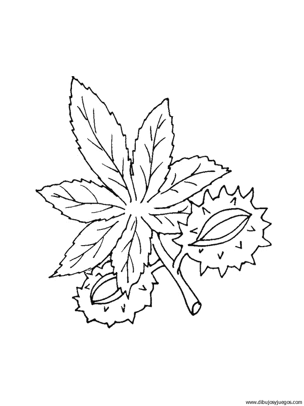 dibujo-arboles-hojas-011.gif
