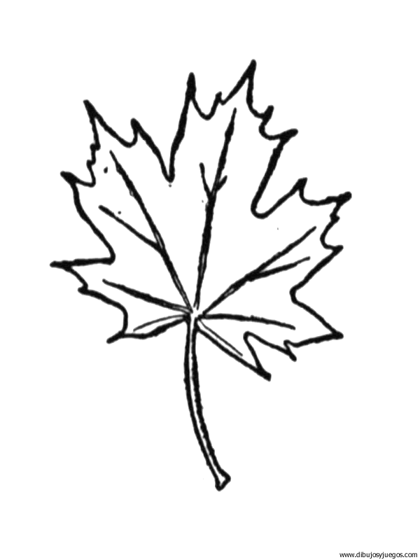 dibujo-arboles-hojas-023.gif