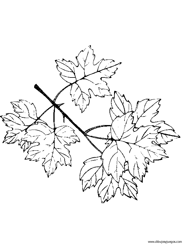 dibujo-arboles-hojas-025.gif