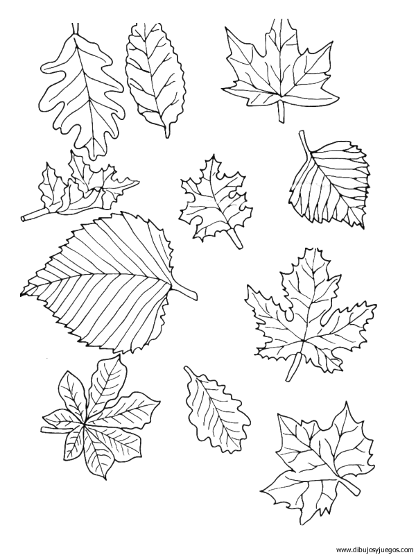 dibujo-arboles-hojas-039.gif
