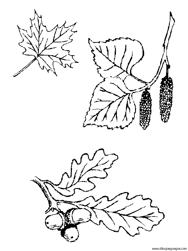 dibujo-arboles-hojas-043.gif