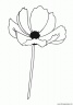 dibujo-flores-amapolas-012