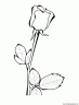 dibujo-flores-rosas-005