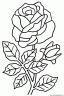 dibujo-flores-rosas-007