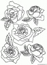 dibujo-flores-rosas-010