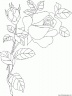 dibujo-flores-rosas-017