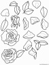 dibujo-flores-rosas-021