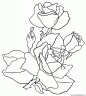 dibujo-flores-rosas-022