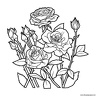 dibujo-flores-rosas-027